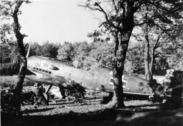 Bf 109 E, Deutschland, gelbe 8