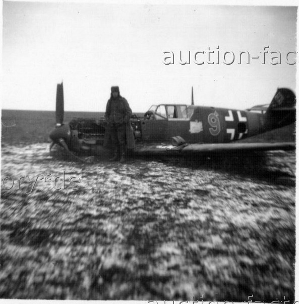Bf 109 E, Lehrgeschwader 2, I. (J) Gruppe, 3. Staffel, Deutschland, braune 9