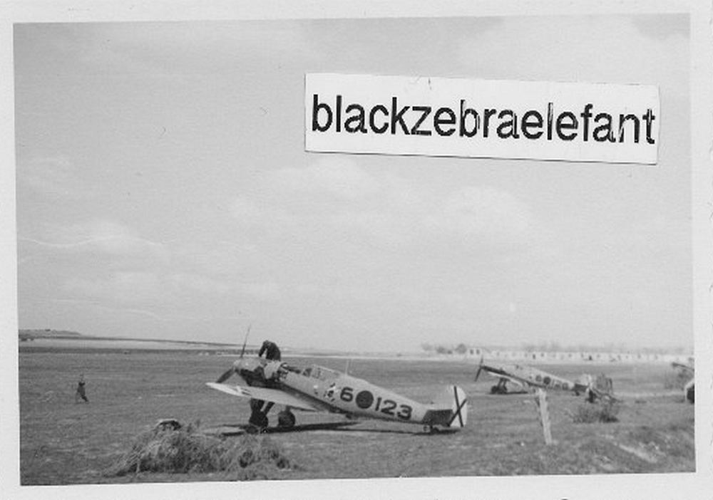Bf 109 E-1, Oblt. Hans Schmoller-Haldy, Legion Condor, Jagdgruppe 88, 3. Staffel, Spanien, 6-123, Links das persönliche Zeichen, ein Bierkrug, vom Flugzeugführer und rechts da…