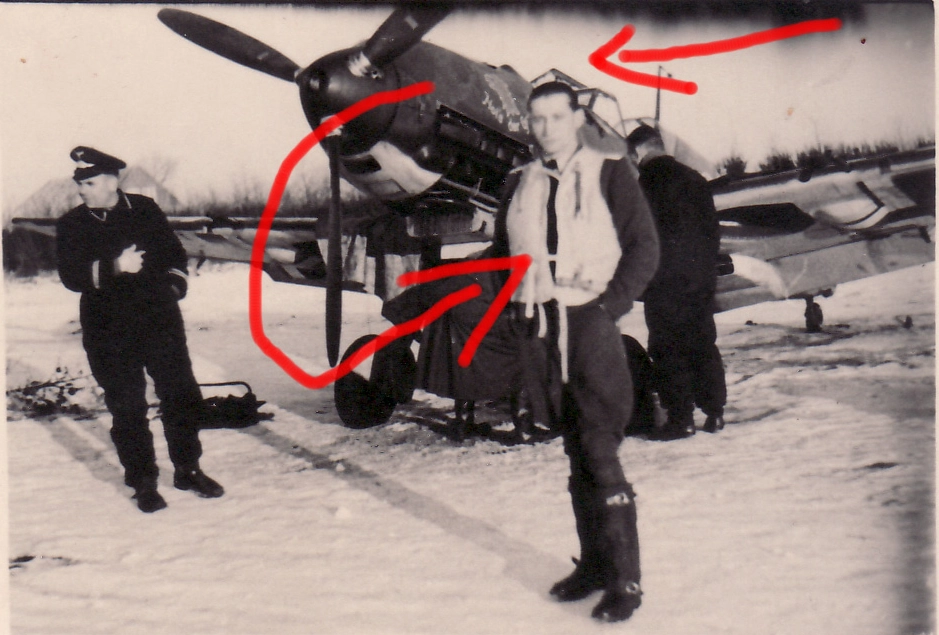 Bf 109 E, Deutschland, Auf der Motorhaube sieht man einen Adlerkopf und den Text: "Hol's der Geier".