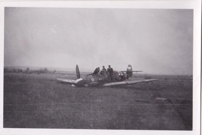 Bf 109 F, Ergänzungsjagdgruppe Ost, Deutschland, schwarze 9
