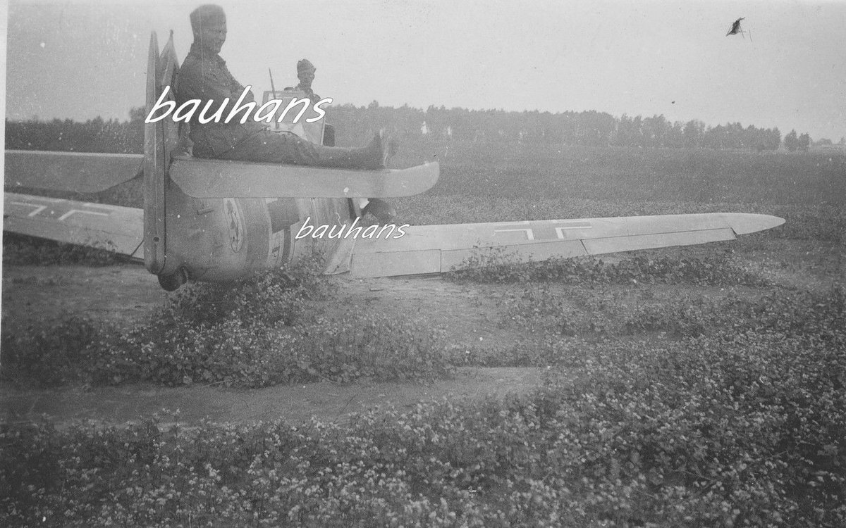 Bf 109 F, Jagdgeschwader 51, II. Gruppe, 4. Staffel, Deutschland, weisse 1, Die Kennung dürfte weiss sein, das Rumpfband ist gelb.